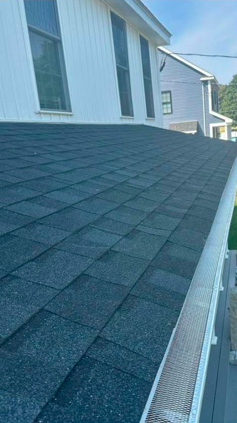 Gutter Cleaning